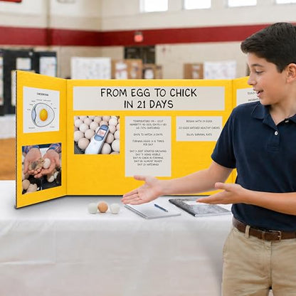Flipside Products 18" x 48" Yellow Project Boards, Pack of 24, Trifold, Presentation Board, DIY Projects, Small Display, Science Fair, Classroom, Clubs, 4H, Graduation - color: Yellow