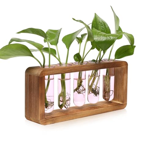 Glass Plant Propagation Station with 5 Test Tubes Colorful Planter Vase - color: Pink