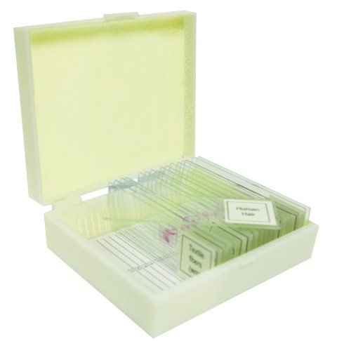 VSE117 Prepared Slide Set – Water Life (Set of 12)