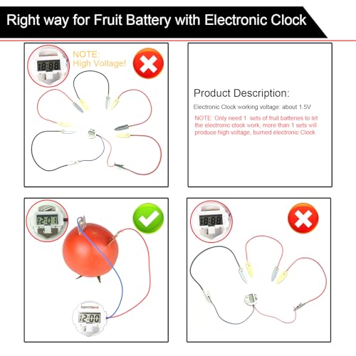 EUDAX Fruit Battery Science Experiment Kit for DIY School Home Teaching Equipment, Orange Lemon Potato Electronic Clock Science Project Kit Physics Educational for Students Teachers (4 Set) - style: 4 Set