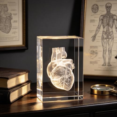 3D Human Heart Anatomical Model Paperweight(Laser Etched) in Crystal Glass Cube Science Anatomy Gift (No Included LED Base)(3.1x2x2 inch)