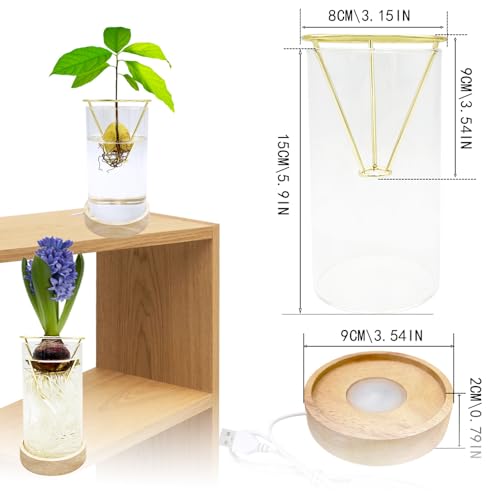 Avocado Vase, Avocado Growing Kit with Wooden LED Light Base, Avocado Seed Starter Vase, Propagation Stations for Forcing Tulip Bulbs, Acorn vase(Golden Support)
