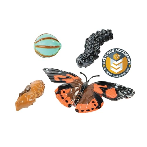 Butterfly Life Cycle Figurines | 4-Piece Educational Set – Stages of Butterfly Development – STEM Science Learning for Ages 4+ - style: Butterfly