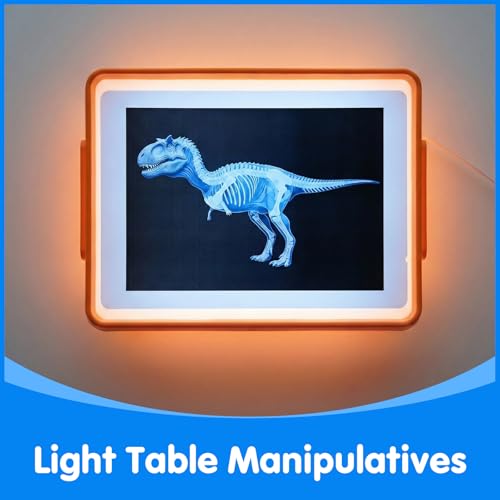 15 Pcs Dinosaur Xrays & Creatures Cards - Light Table Toys - style: Dinosaur Series