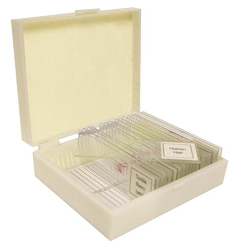VSH114 Prepared Slide Set – Forensics (Set of 17)