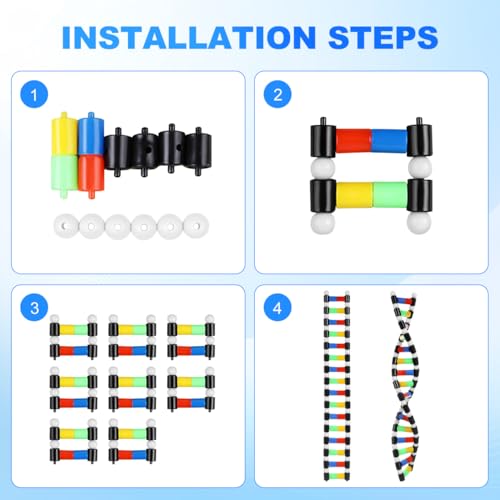 Generic DNA Model Double Helix Model Removable Molecular Kit for Science Class Biology Classroom Display Science Models for Students and Learning
