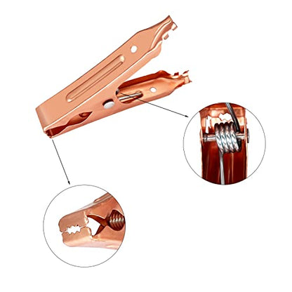 2 Piece 100 A Insulated Alligator Clips for Car Auto Vehicle