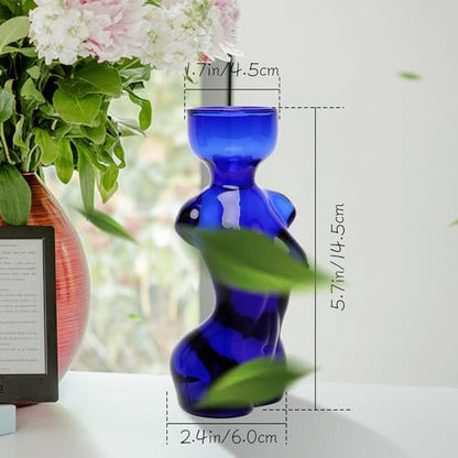 Plant Propagation Jars Unique Body Avocado Vase - color: Grey Blue