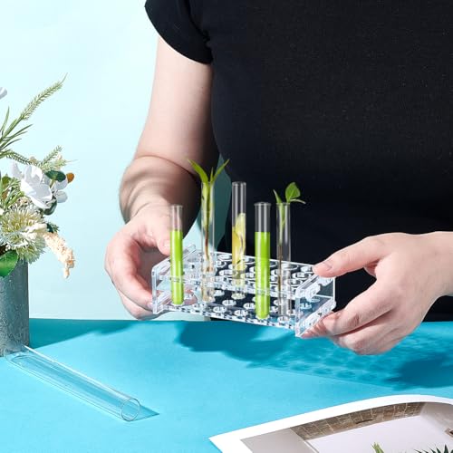 UNICRAFTALE 2 Set 24-Holes Acrylic Test Tubes Holder Rack Lab Supplies Rectangle Clear Tests Tube Rack Round Holes Tests Tube Holder for Test Tubes Chemistry Laboratory 5.27"x2.95"x1.45" - size: 13.4x7.5x3.8cm