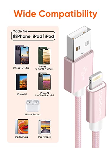CableCreation USB A to Lightning Cable 6inch,iPhone Charging Data Sync Cord - color: Pink