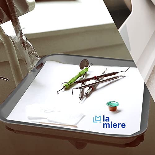 LA MIERE 8Pcs Autoclavable Dental Procedure Tray Lockable Set up Flat Trays Size B (Ritter),Plastic Instrument B-Lok Flat Trays, 13.25 x 9.75X 0.875 Inches (8, Loyal Gray) - color: Loyal Gray, size: 8