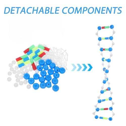 Mobestech DNA Model Double Helix Science Classroom Decor Plastic Molecular Modeling Kit for Genetics and Mutation Learning Detachable DNA Model Kit for Students Biology Teaching