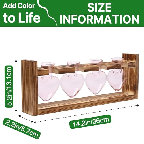 Plant Propagation Stations Heart Plant Terrarium Kit - color: Pink