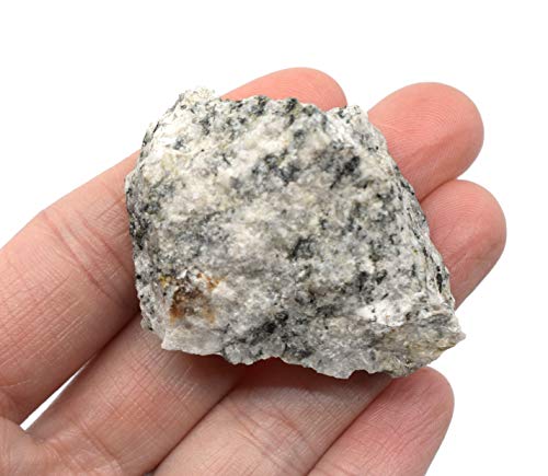 EISCO Raw Porphyritic Granite, Igneous Rock Specimen - Approx. 1"- Geologist Selected & Hand Processed - Great for Science Classrooms