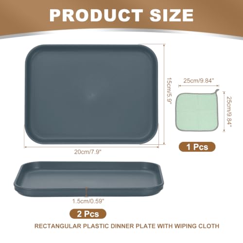 PATIKIL 7.9x5.9 Plastic Tray, 2 Pack Rectangular Plates Small Food Tray Wheat Plates Dishes Reusable Dessert Plate Trays with Cloth for Cake Fruits Salad Cupcake Steak Serving Dark Blue - color: Dark Blue, size: "xS(7.9"x5.9")