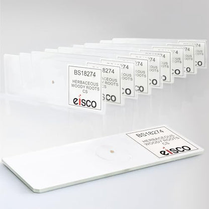 Eisco - 10 Pack Prepared Microscope Slides of Herbaceous Root Cross Section 25x77mm Glass Slides Stained for Plant Tissue Study