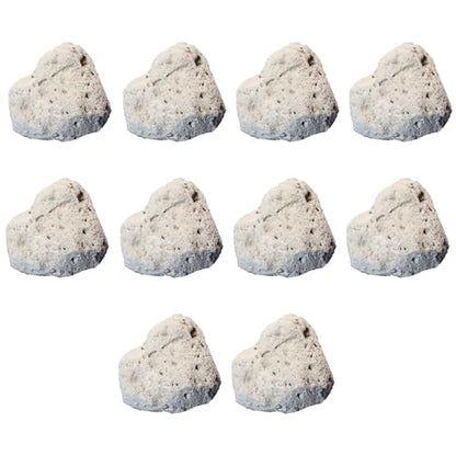 Pumice Rock Specimens (10 Pieces) - Metamorphic Rocks for Science Classrooms - Geologist Selected & Hand Processed - Class Pack, Education Collection