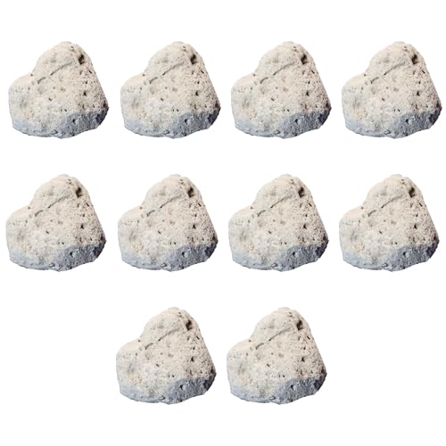 Pumice Rock Specimens (10 Pieces) - Metamorphic Rocks for Science Classrooms - Geologist Selected & Hand Processed - Class Pack, Education Collection
