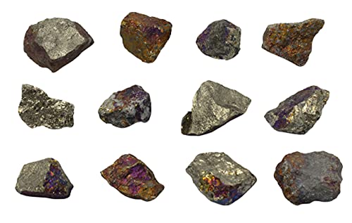 EISCO 12PK Raw Chalcopyrite, Mineral Specimens - Approx. 1" - Geologist Selected & Hand Processed - Great for Science Classrooms - Class Pack