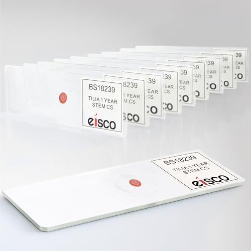 Eisco - 10 Pack Prepared Microscope Slides of Tilia Stem Cross Section 1-Year Dicot 25x77mm Glass for Structure-Function Study in Storage Box