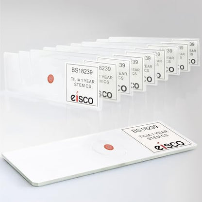 Eisco - 10 Pack Prepared Microscope Slides of Tilia Stem Cross Section 1-Year Dicot 25x77mm Glass for Structure-Function Study in Storage Box