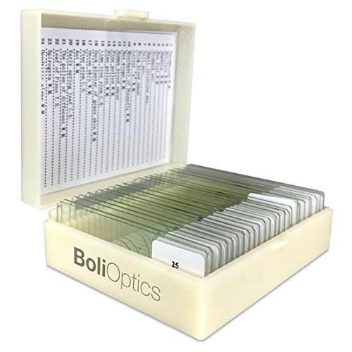 BoliOptics 25 Prepared Microscope Slides General Biology Specimen Set Plant Animal Human Anatomy Cells for Students Hobbyists Beginners Kids Homeschool, SL39901006