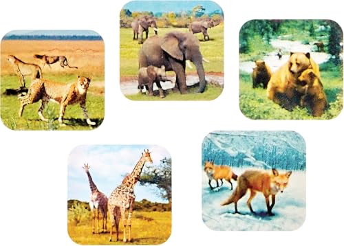 WARM FUZZY Zoo Animals 3D Viewfinder | 3 Reels 21 3D Images - color: Zoo