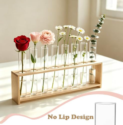 10 Pcs Glass Test Tubes for Plants, 6 Inch Plant Propagation Tubes Clear Propagation Vases, Hydroponic Planter for Home Office Desktop Decoration (no Lip on the top)