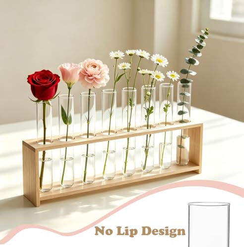 10 Pcs Glass Test Tubes for Plants, 6 Inch Plant Propagation Tubes Clear Propagation Vases, Hydroponic Planter for Home Office Desktop Decoration (no Lip on the top)