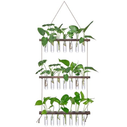 XXXFLOWER Wall Hanging Propagation Station with Wooden Stand - color: Brown, size: 21 Tube Vases