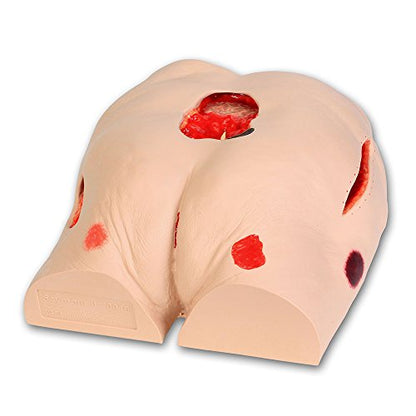 VATA Seymour II Wound Care Model