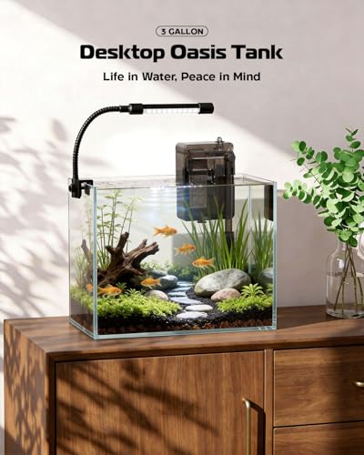 Glass Fish Tank Kit, 3 Gallon Betta Nano Fish Tank Aquarium Starter Kit - color: Transparent, size: 3 Gallon