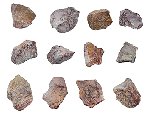 EISCO 12PK Raw Breccia, Sedimentary Rock Specimens - Approx. 1" - Geologist Selected & Hand Processed - Great for Science Classrooms - Class Pack