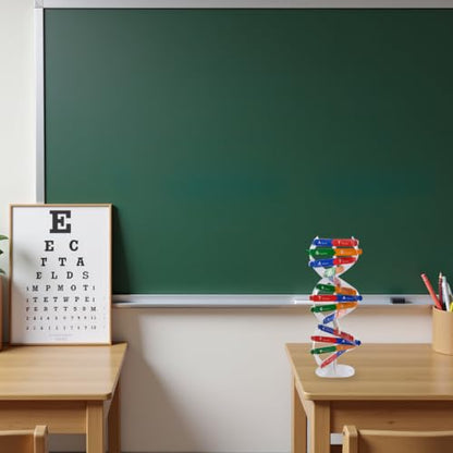 DNA Model Kit Double Helix Model Self-Assembling Science Plaything for Classroom Teaching Human Genes Learning Aid Biology Experiment Accessory for Students