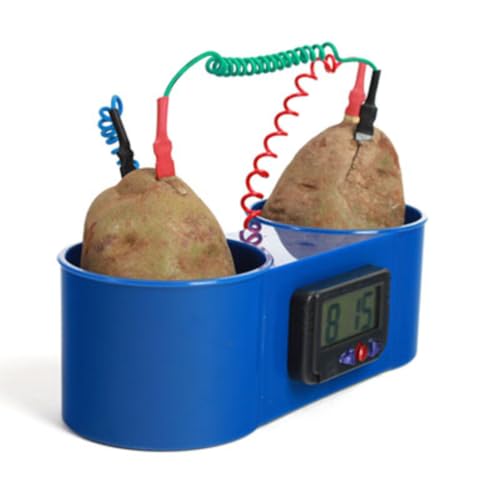 #1314 Two Potato Clock - Educational Electrochemical Cell Demonstrator