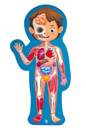 Hape Human Body Puzzle | 60 Oversized Pieces Educational Anatomy Jigsaw, Wooden Organs, for Children 4+ Years