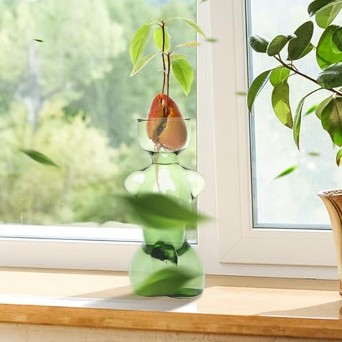 Plant Propagation Jars Unique Body Avocado Vase - color: Green
