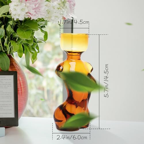 Plant Propagation Jars Unique Body Avocado Vase - color: Amber