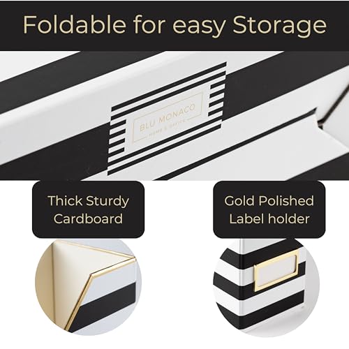 BLU MONACO | Cardboard Magazine File Holder Set of 4 | Vertical Magazine File Holder for Desk and Shelves | Standing File Holder for Classroom School Paper Storage - color: Gold Dots Black Stripes