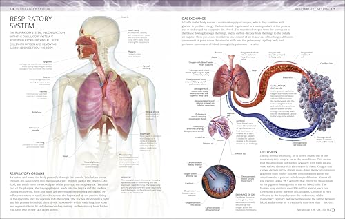 The Human Body Coloring Book: The Ultimate Anatomy Study Guide, Second Edition (DK Human Body Guides)