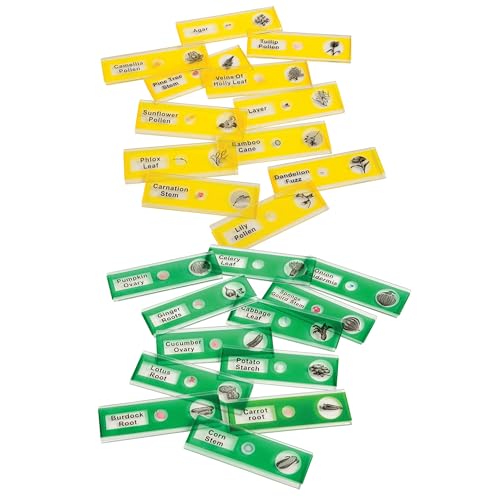 Prepared Microscope Slides for Kids – 24 Plastic Plant & Vegetable Specimens with Labels & Images – Safe, Durable Biology Science Kit for Students Ages 8+ - size: Plant & Vegetable -24 pc