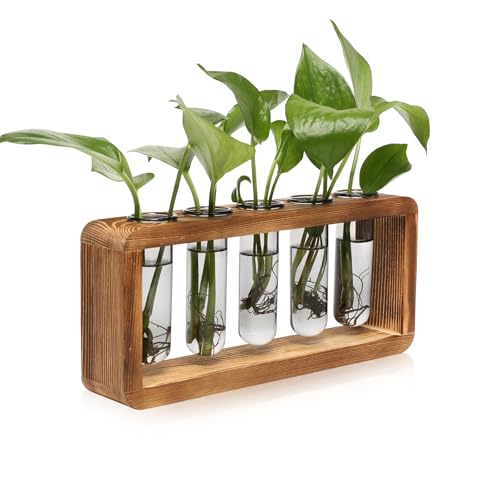 Glass Plant Propagation Station with 5 Test Tubes Colorful Planter Vase - color: Gray