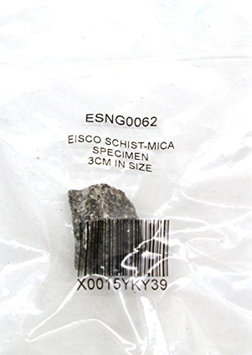 EISCO Mica Schist Specimen (Metamorphic Rock), Approx. 1" (3cm)