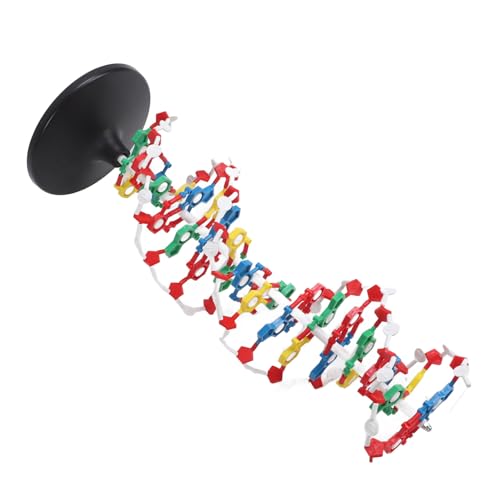 DNA Structure Model Plastic Educational DNA Model Teaching Equipment