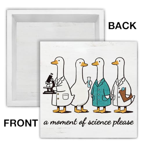 Funny Science Teacher Decor Chemistry Teacher Wood Block Sign a Moment of Science Wood Sign for Laboratory Classroom Office Desk Decoration 5x5 Inch, Back to School Gifts