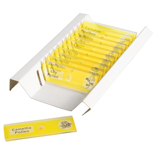 Prepared Microscope Slides for Kids – 12 Plastic Plant Specimens with Labels & Images – Safe, Durable Biology Science Kit for Students Ages 8+ - size: Plants - 12 pc