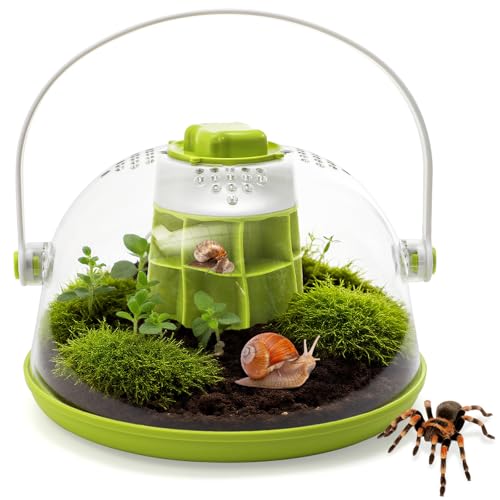 Snail Terrariums Breeding Box, Plastic Round Snail Habitat, Clear Feeding Box with Air Vents & Removable Base, Small Insect Feeding Bin for Beetles Spiders Ladybugs, Starter Terrarium Kit