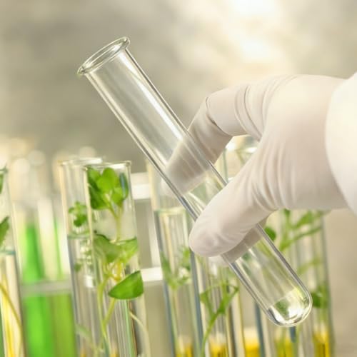 POPETPOP 4Pcs Plant Propagation Tubes : Clear Glass Test Tubes for Plants Hydroponic Propagation Vases for Home Office, 5.89X1.18X1.18in