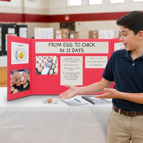 Flipside Products 18" x 48" Red Project Boards, Pack of 24, Trifold, Presentation Board, DIY Projects, Small Display, Science Fair, Classroom, Clubs, 4H, Graduation - color: Red