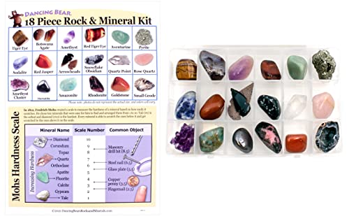 DANCING BEAR 18 Pc Rock and Mineral Educational Collection & Deluxe Collection Box with Description Sheet and Educational Information. Limited Edition, Geology Gem Kit for Kids with Display Case